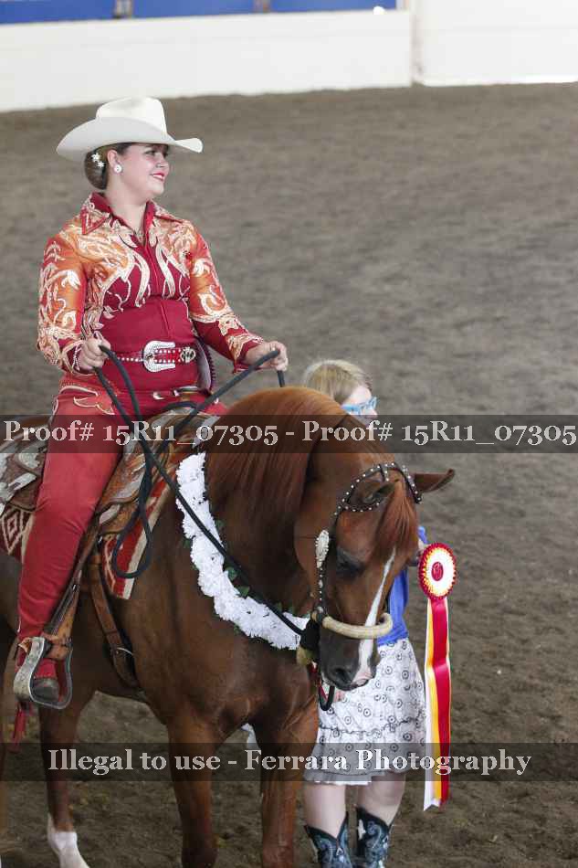 Proof Number 15R11_07305