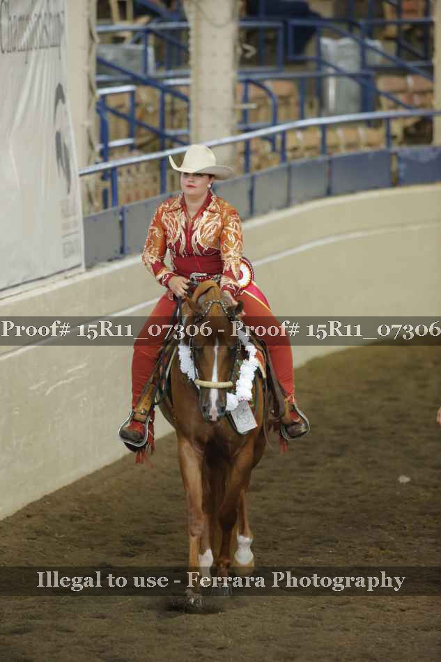 Proof Number 15R11_07306