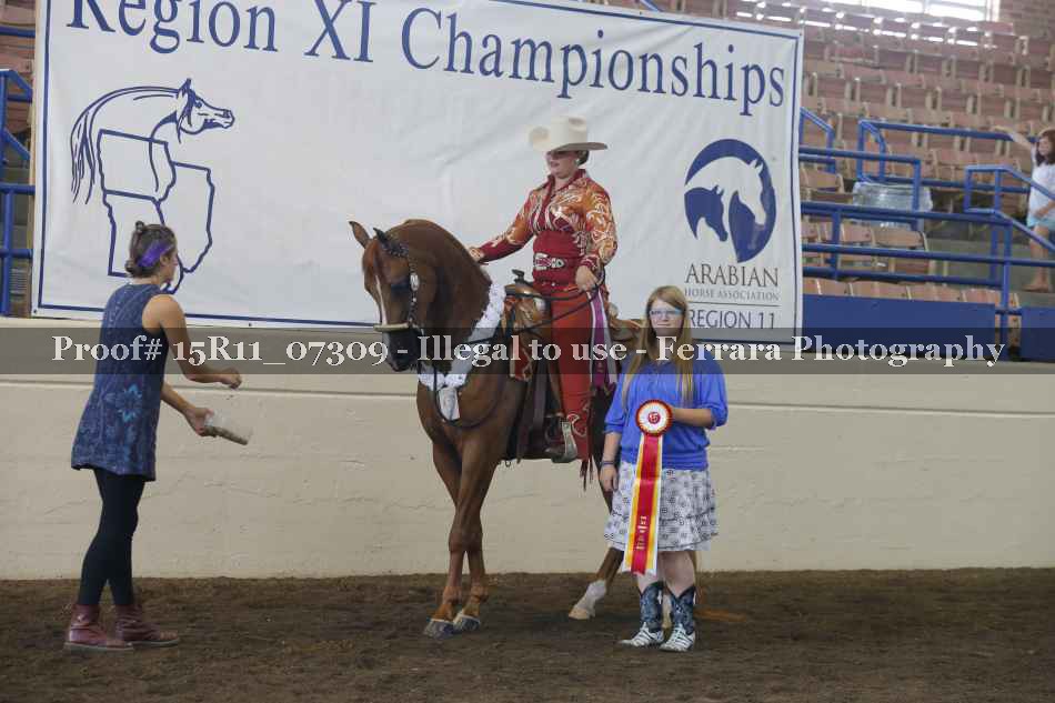Proof Number 15R11_07309