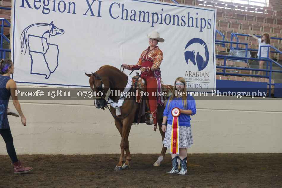 Proof Number 15R11_07310