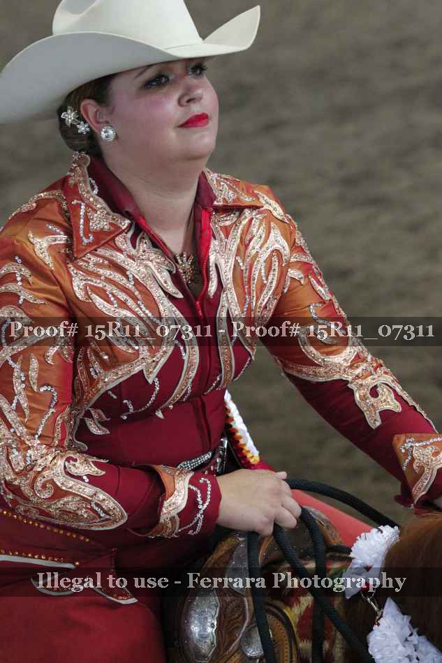 Proof Number 15R11_07311