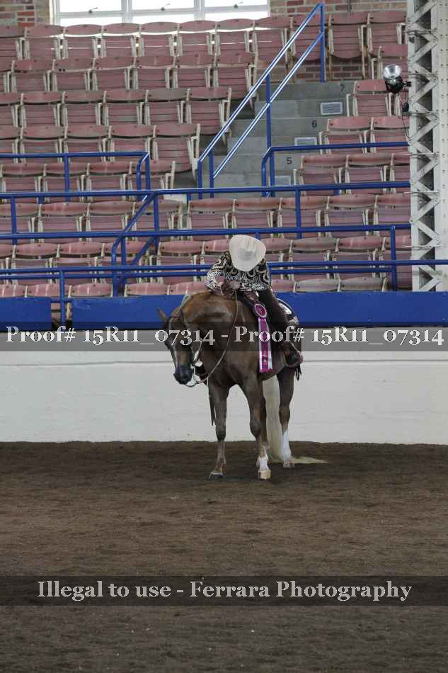 Proof Number 15R11_07314