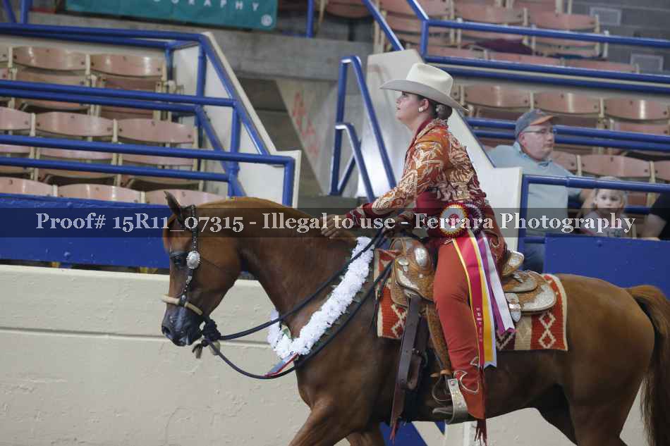 Proof Number 15R11_07315