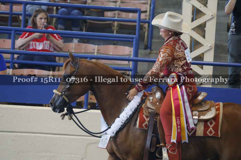 Proof Number 15R11_07316