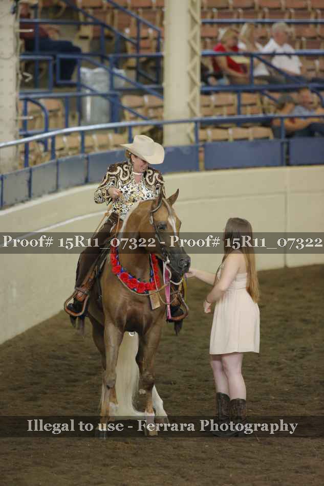 Proof Number 15R11_07322