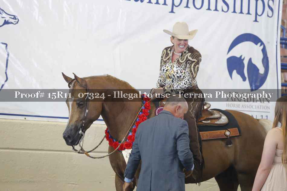 Proof Number 15R11_07324
