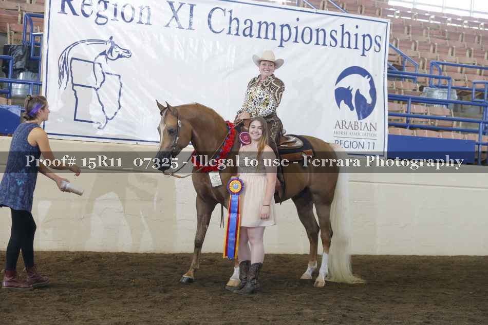 Proof Number 15R11_07325
