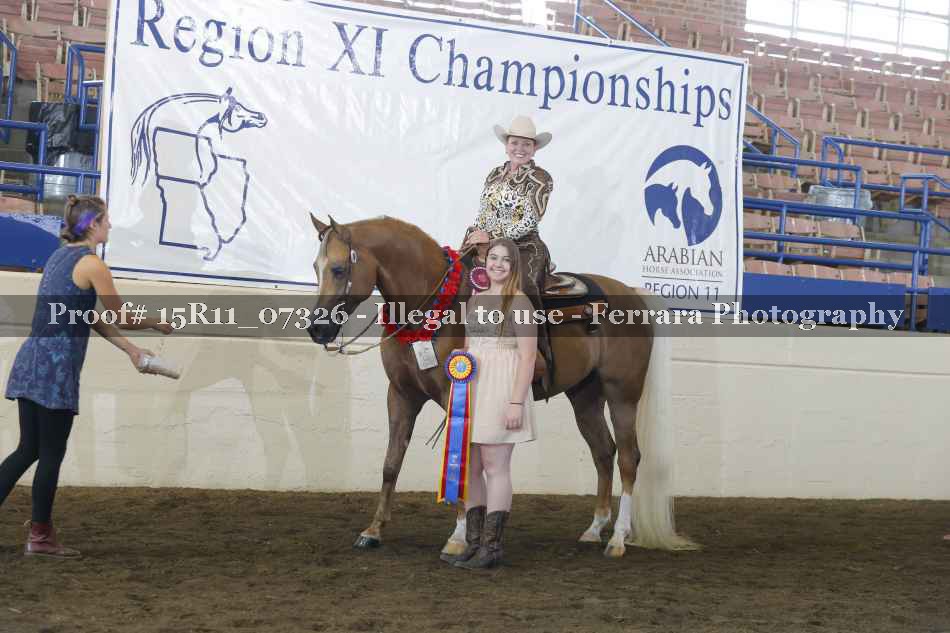 Proof Number 15R11_07326