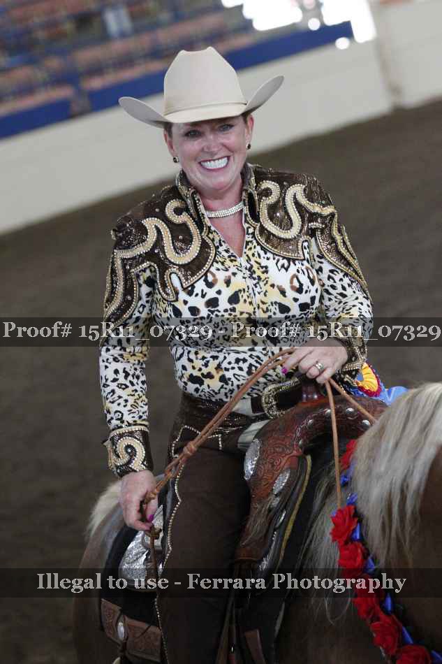 Proof Number 15R11_07329