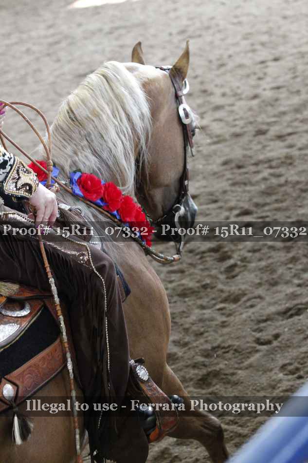 Proof Number 15R11_07332