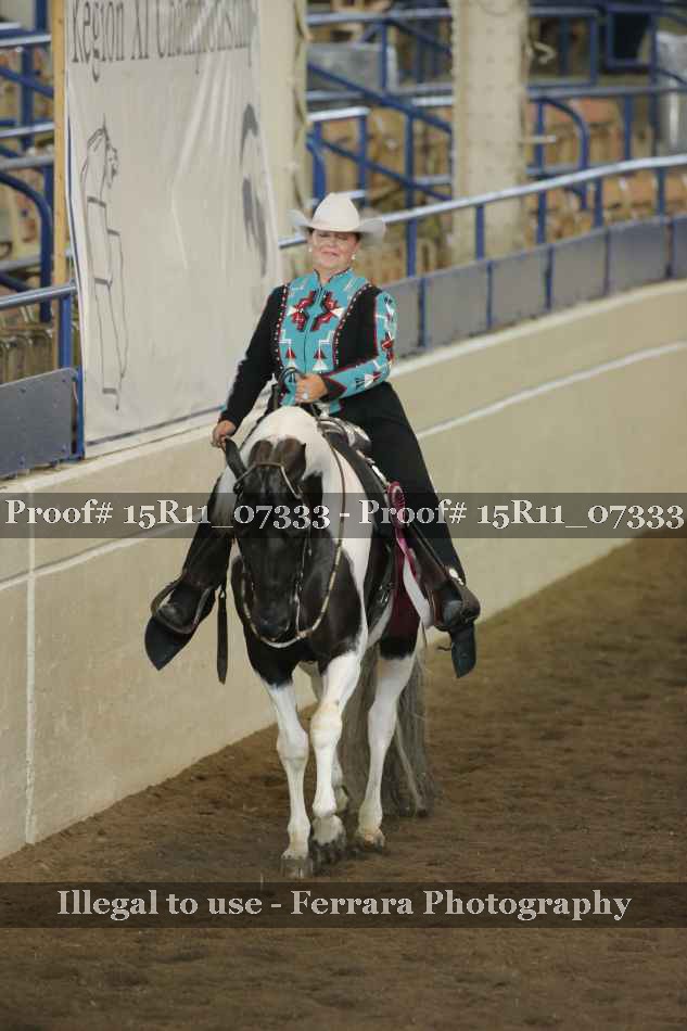 Proof Number 15R11_07333