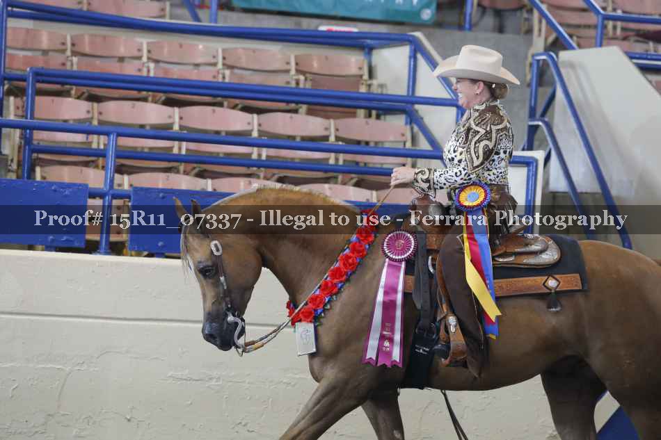 Proof Number 15R11_07337