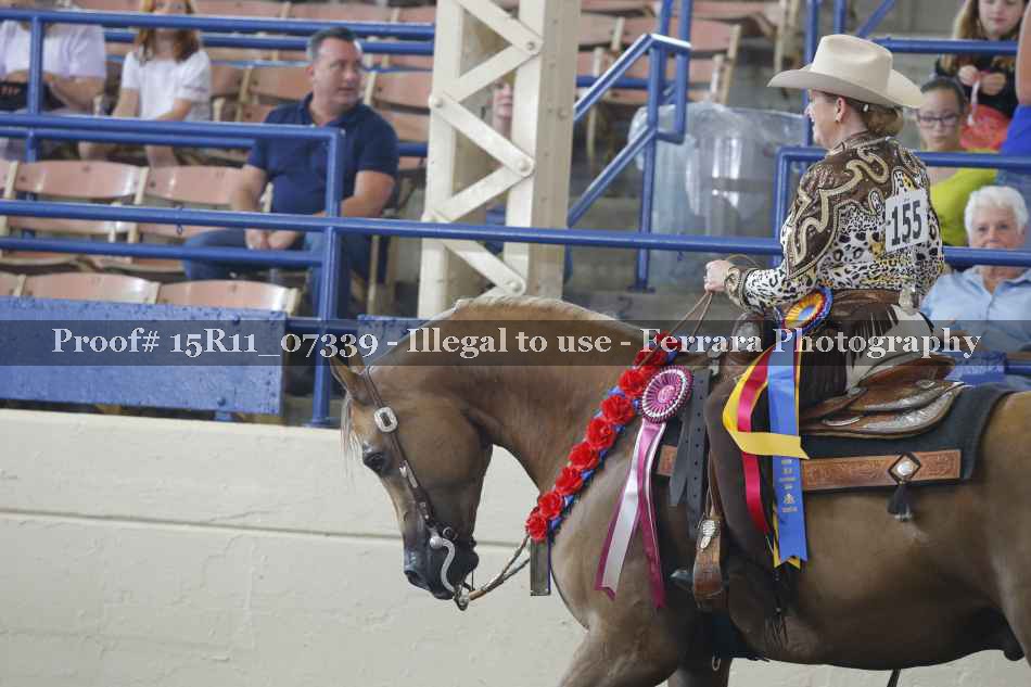 Proof Number 15R11_07339
