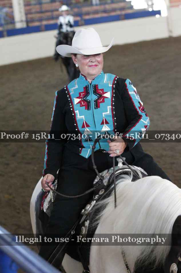 Proof Number 15R11_07340