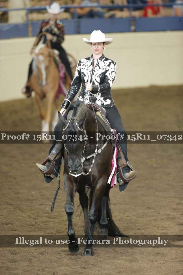 Proof Number 15R11_07342