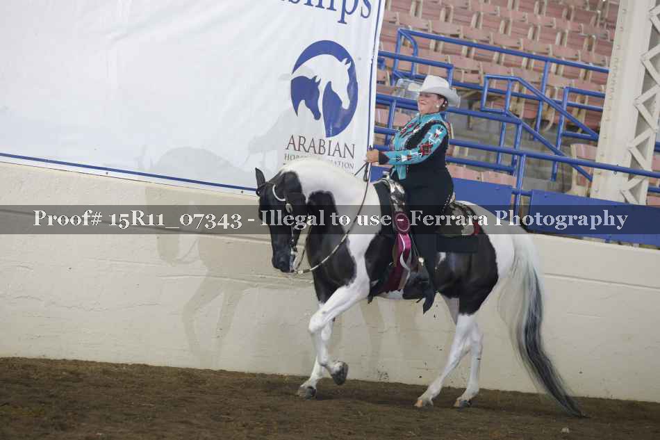 Proof Number 15R11_07343