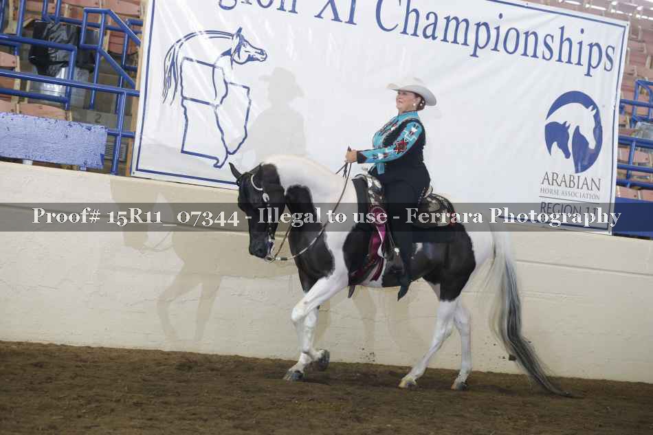 Proof Number 15R11_07344