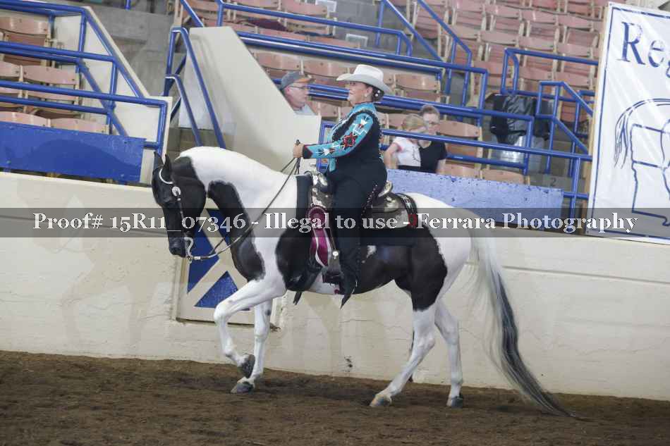 Proof Number 15R11_07346