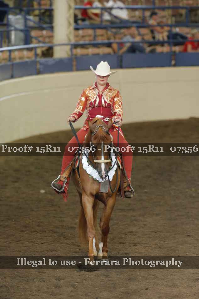 Proof Number 15R11_07356