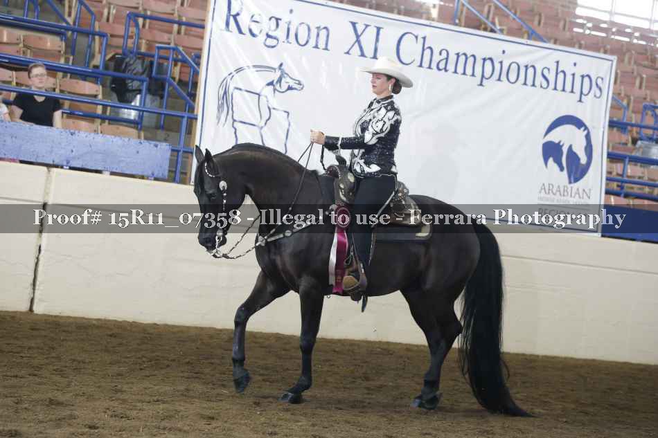 Proof Number 15R11_07358