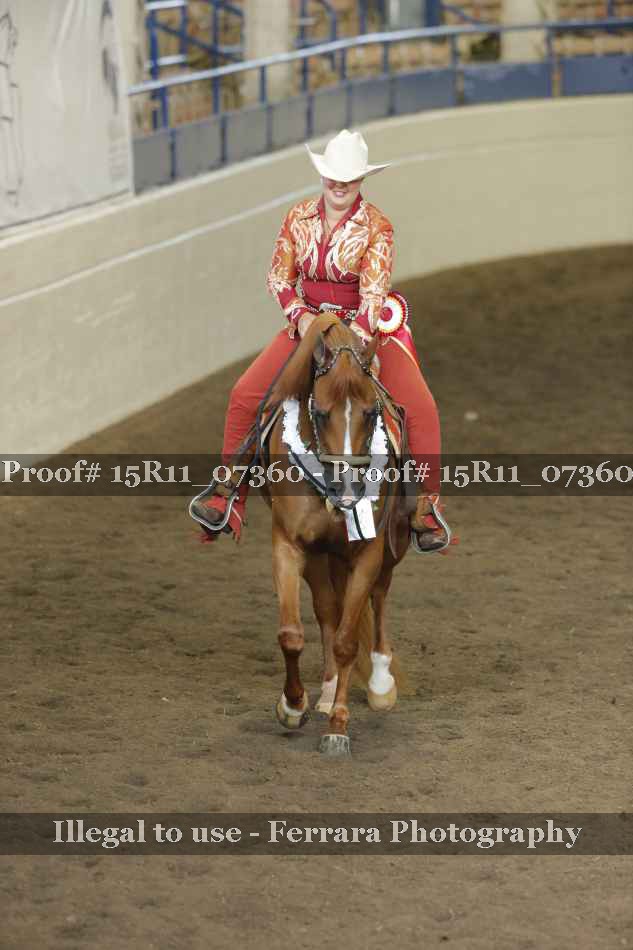 Proof Number 15R11_07360