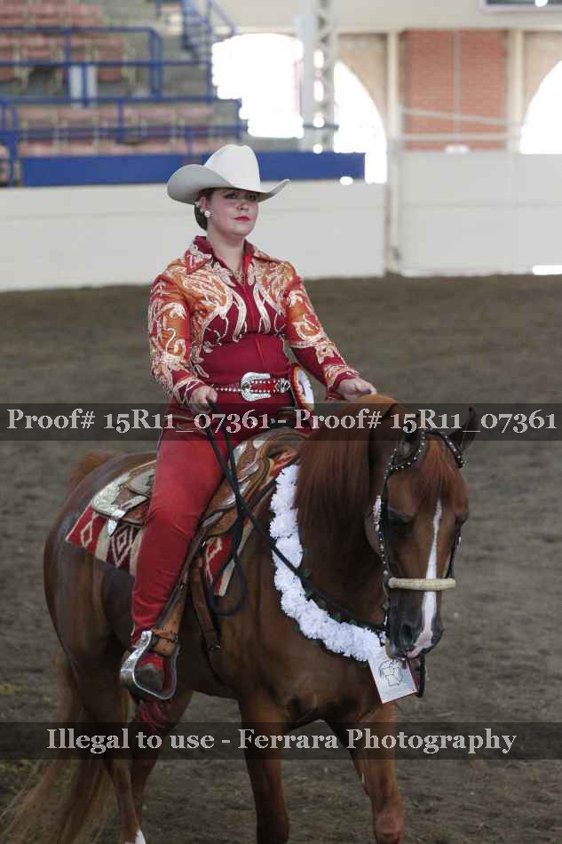 Proof Number 15R11_07361