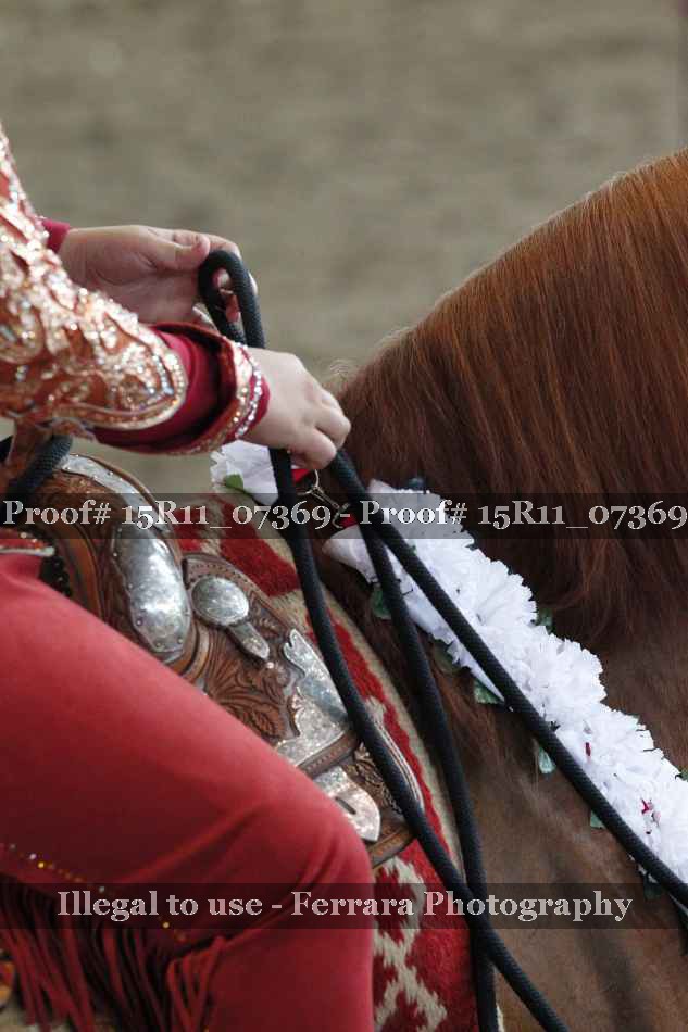 Proof Number 15R11_07369