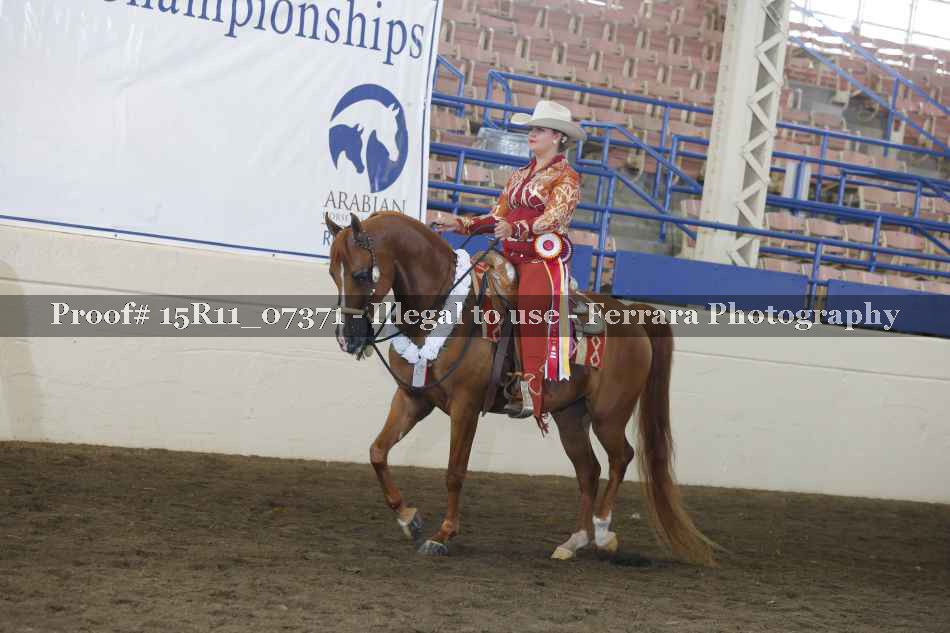 Proof Number 15R11_07371