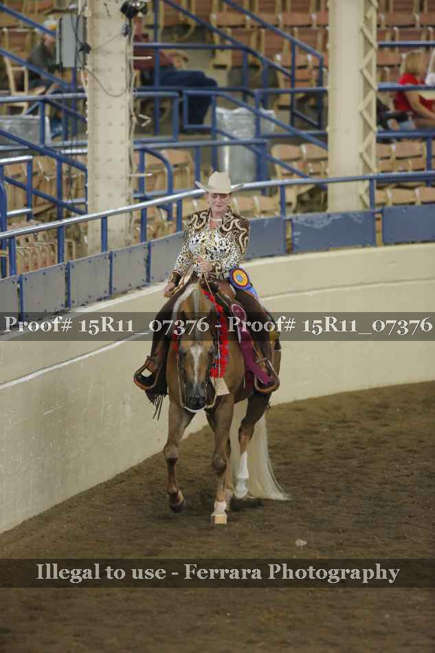 Proof Number 15R11_07376