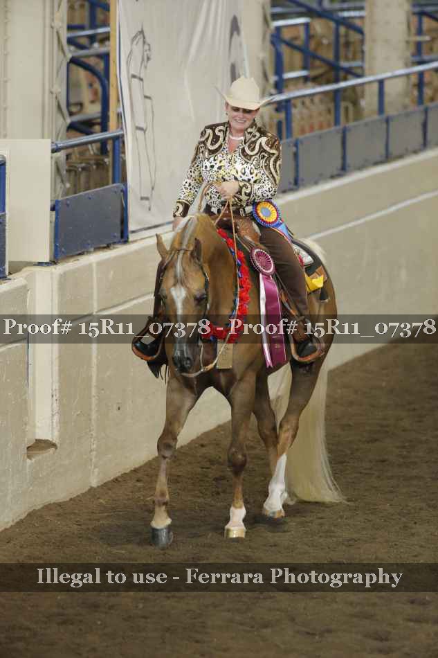 Proof Number 15R11_07378