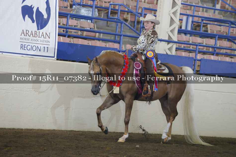 Proof Number 15R11_07382