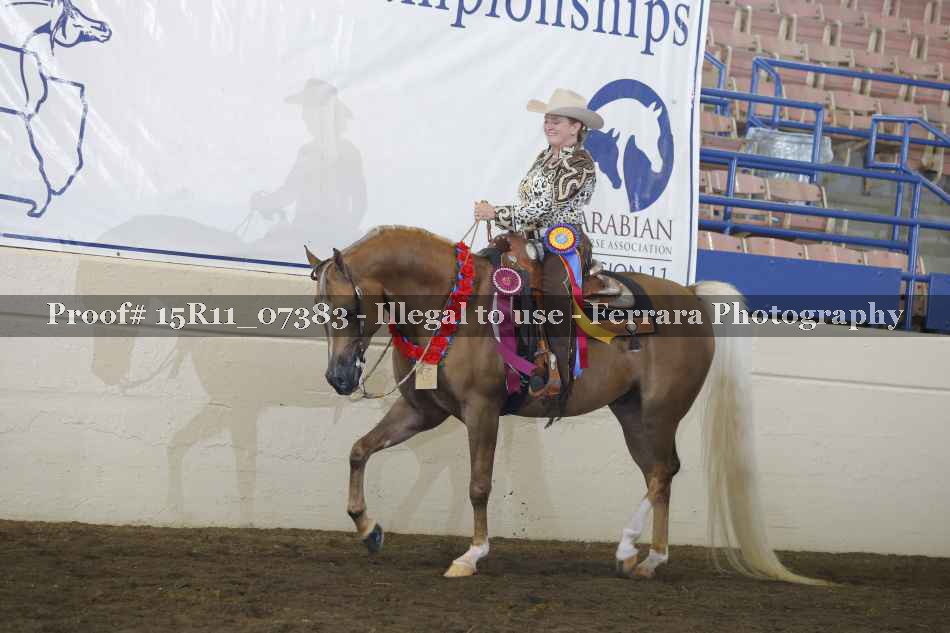 Proof Number 15R11_07383
