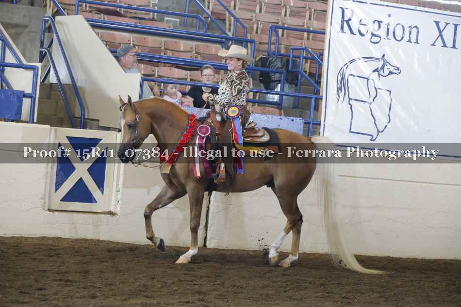Proof Number 15R11_07384