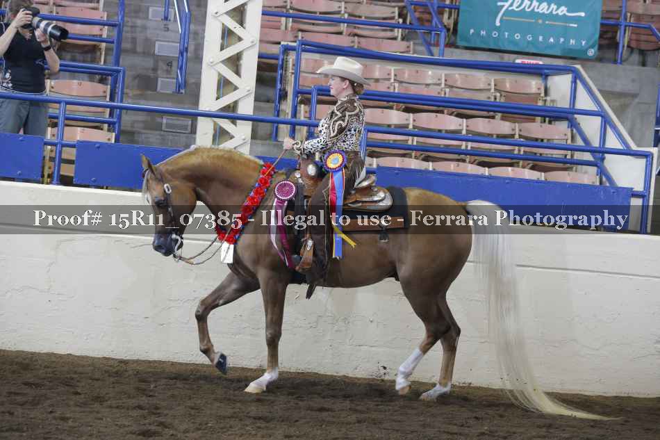 Proof Number 15R11_07385