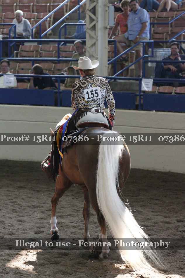 Proof Number 15R11_07386