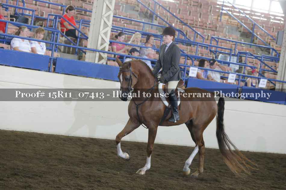 Proof Number 15R11_07413