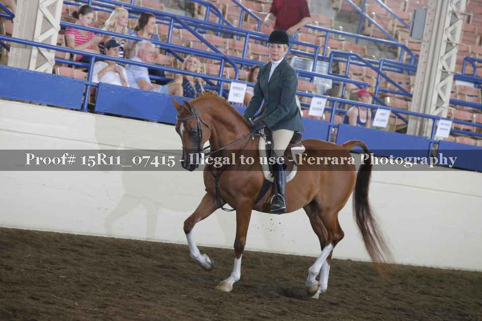 Proof Number 15R11_07415