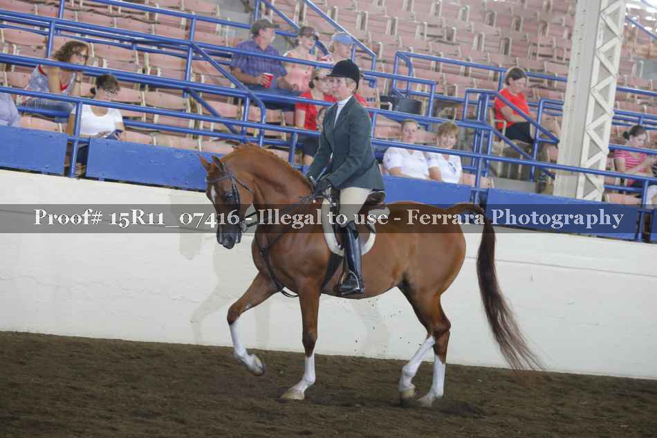 Proof Number 15R11_07416