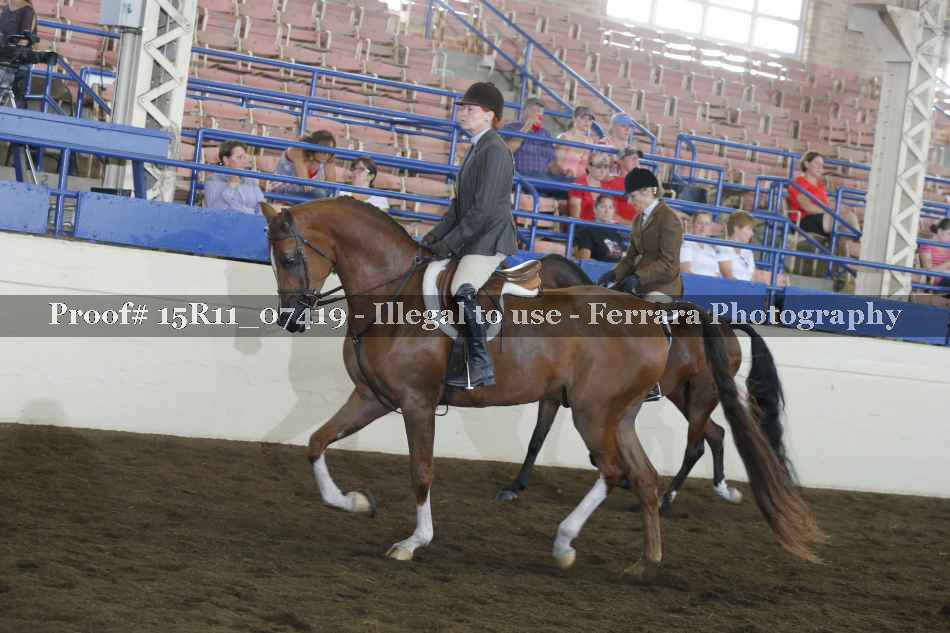 Proof Number 15R11_07419