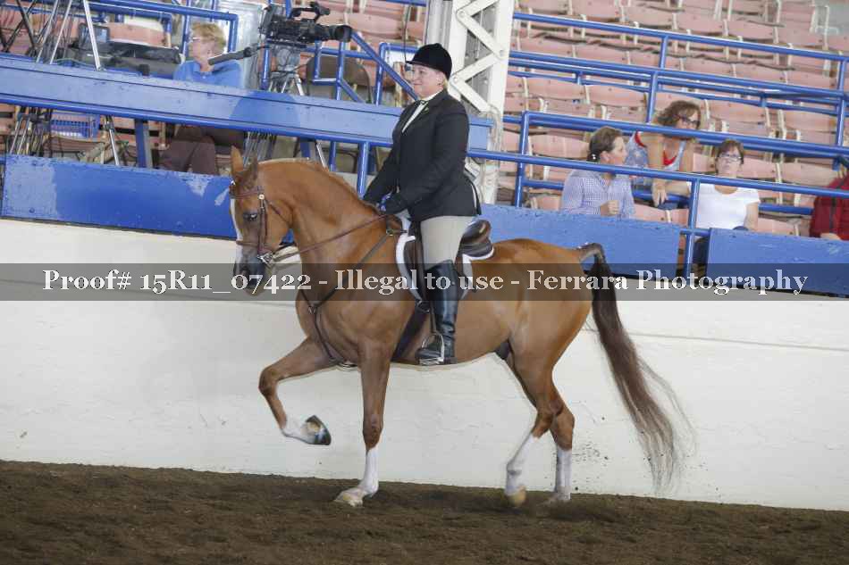 Proof Number 15R11_07422
