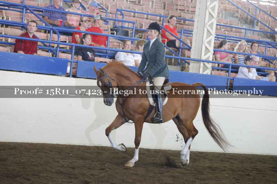 Proof Number 15R11_07423