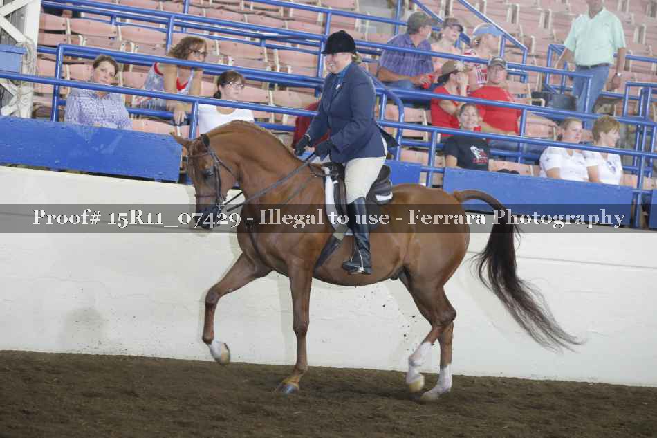 Proof Number 15R11_07429