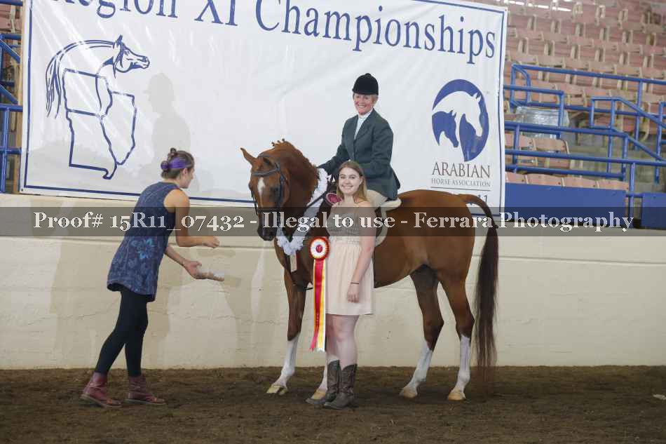 Proof Number 15R11_07432