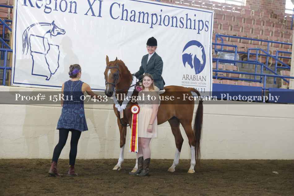 Proof Number 15R11_07433