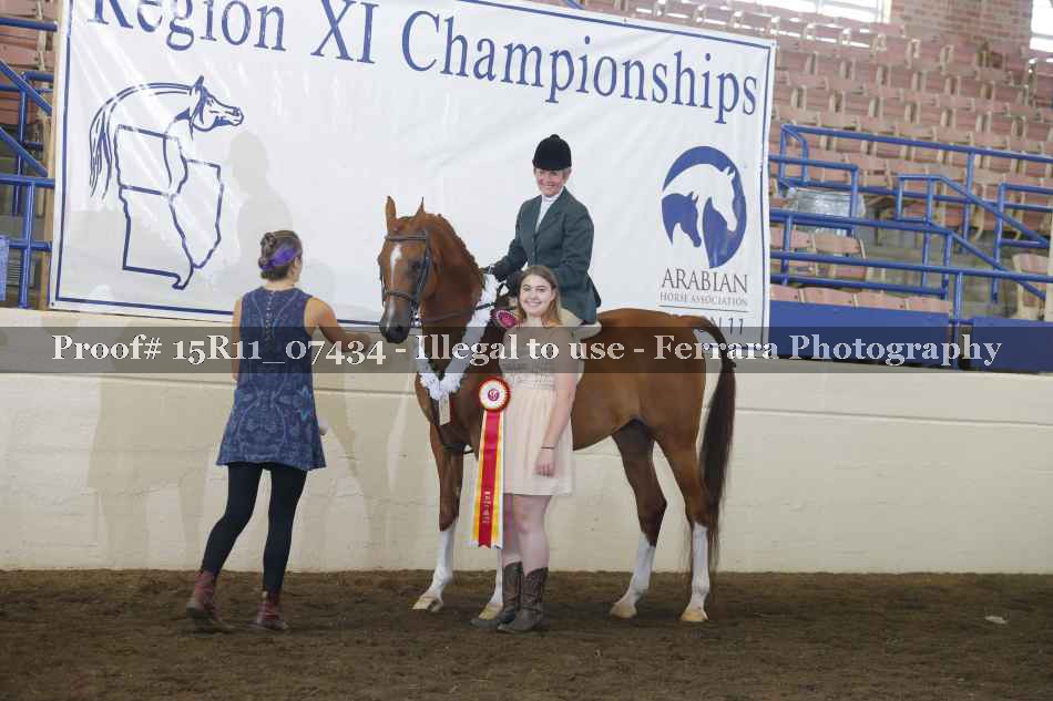 Proof Number 15R11_07434