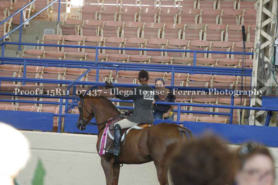 Proof Number 15R11_07437