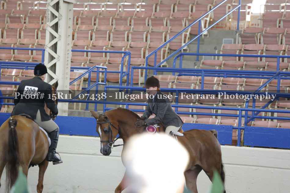 Proof Number 15R11_07438