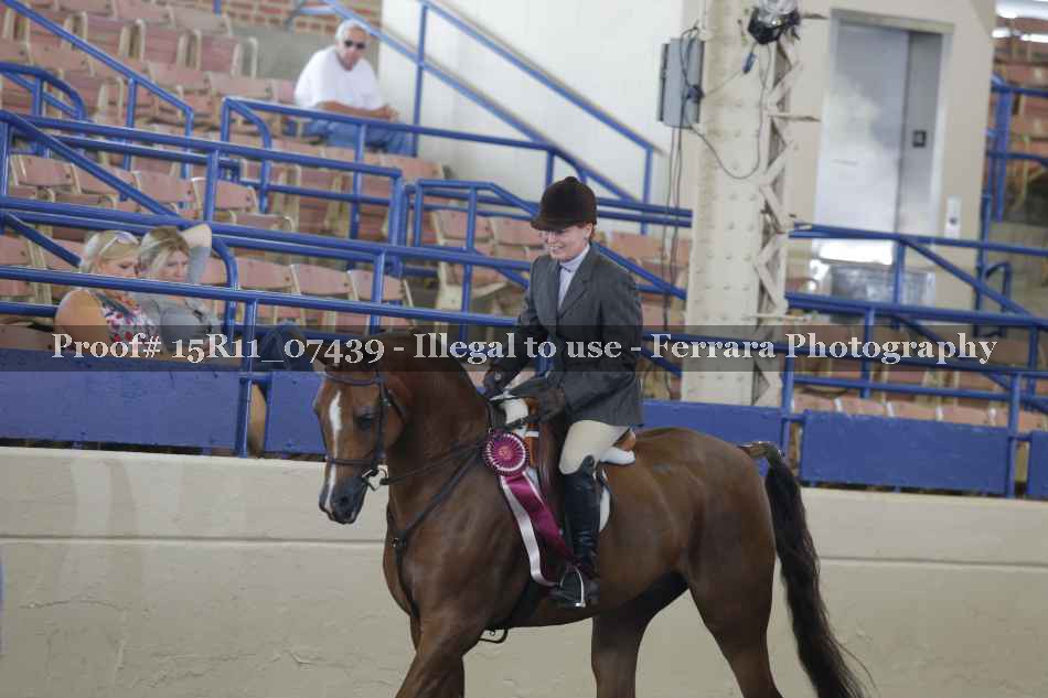 Proof Number 15R11_07439