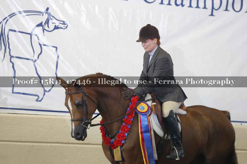 Proof Number 15R11_07446