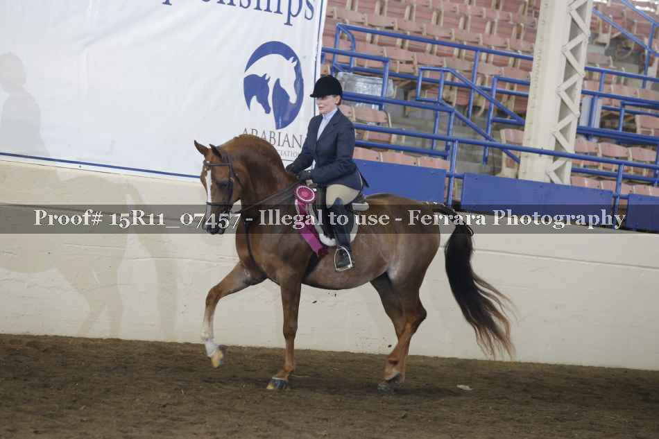 Proof Number 15R11_07457